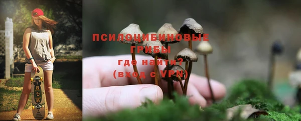 кокс Арсеньев
