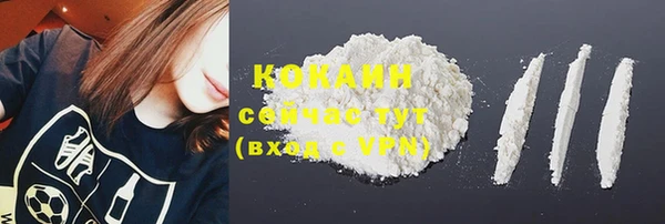 кокс Арсеньев