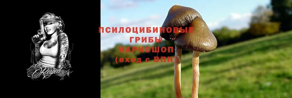 кокс Арсеньев