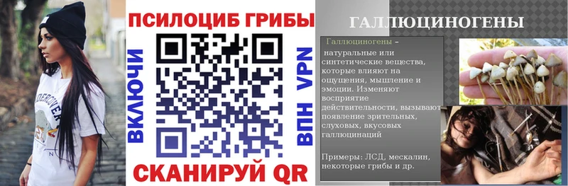 мега зеркало  Беломорск  Псилоцибиновые грибы Psilocybe  как найти закладки 